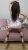 Pendik Escort Bayan Gamze - Image 7